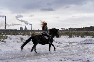 Walk with a horse across the field against the backdrop of the factory