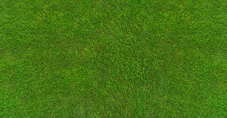 Fototapeta na wymiar green grass texture - well-groomed turf in the garden