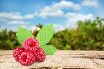 Fresh red raspberries with green leaf