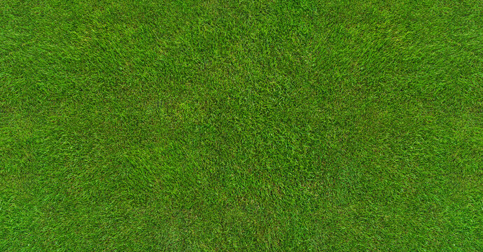 Green Grass Texture - Well-groomed Turf In The Garden