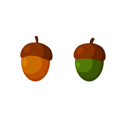 Obraz premium Acorn logo oak vector forest