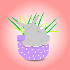 Rabbit in a flower pot