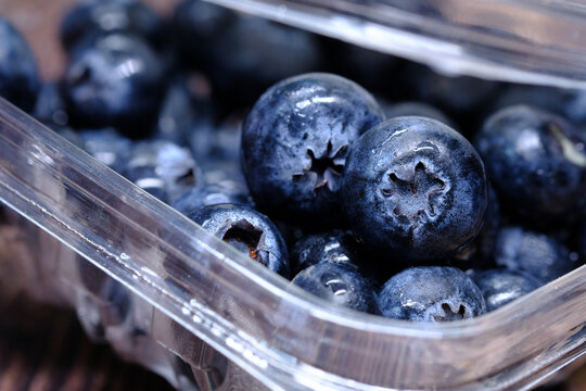 Close Up Of Fresh Blue Berry With Water Drops .