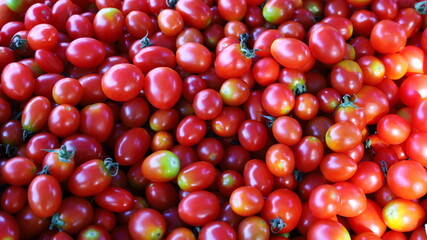 Background of many red tomatoes. Heaps of delicious fresh tomatoes are sold at the local market from healthy organic farms. Selective focus