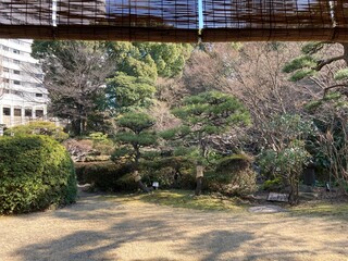 Japanese garden