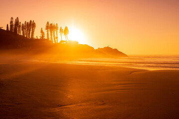 Obraz premium Sunrise on ocean beach with waves and rocks with trees. Joaquina beach in Florianopolis, Brazil