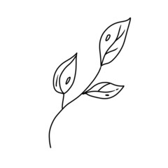 Black doodle art on White background. Garden set collection. Leaf lineart. 