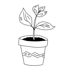 Plant pot doodle art. Garden flower illustration. Line art set. Black on White background. 