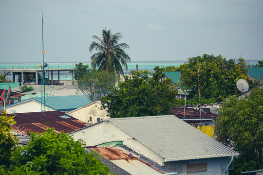 Aerial view of Gulhi island, houses and trees from above, Maldives