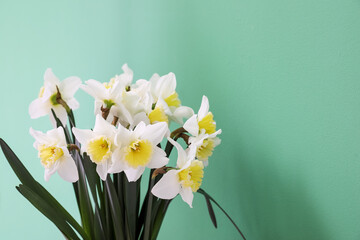 Bouquet of daffodils flowers on green background