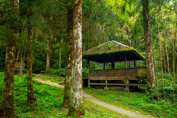 Taiwan, Yilan County, forests, mountain lakes, Mingchi, forests, pavilions for relaxation