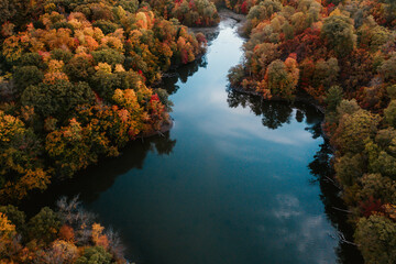 Fototapeta na wymiar fall colors in the forest