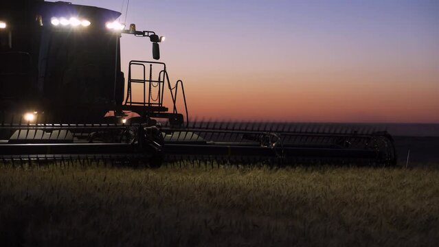 Combine harvester cuts field of wheat at sunset