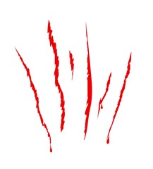 Cat claw print. Wound with blood. Wild animal attack trace