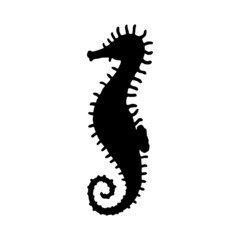 Seahorse. Vector silhouette wild ocean animal underwater life doodle isolated illustration.
