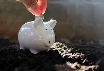 Male hand of construction worker putting coin into piggy bank for saving money wealth and Concept of financial crisis.