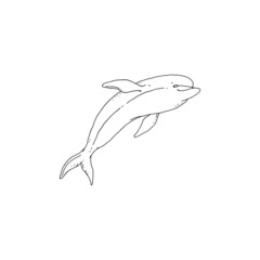 Dolphin jumping playful aquatic animal black white sketch line doodle vector Illustration.