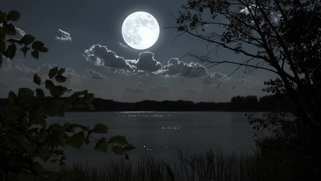 Full moon night landscape with forest lake.