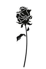 Rose. Black and white image of stylized colors. Stamp, print on fabric, design, background.
Vector drawing.