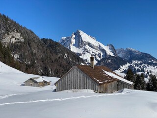 Indigenous alpine huts and wooden cattle stables on Swiss pastures covered with fresh white snow cover, Alt St. Johann - Obertoggenburg, Switzerland (Schweiz)