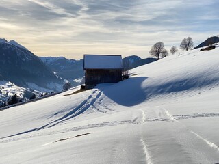 Indigenous alpine huts and wooden cattle stables on Swiss pastures covered with fresh white snow cover, Alt St. Johann - Obertoggenburg, Switzerland (Schweiz)