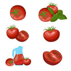 A set of drawn different tomatoes, half of them.