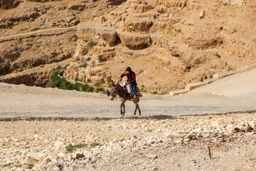 Man riding a donkey in the desert