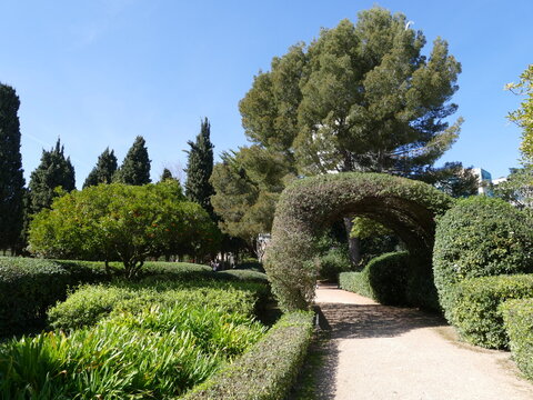Lush green in Marivent (sea and wind) Park in Palma, Mallorca, Balearic Islands, Spain