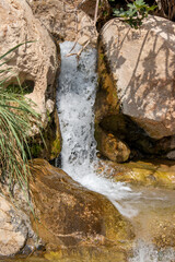 The national park Ein Gedi, Israel