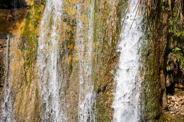 Obraz premium The national park Ein Gedi, Israel