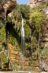 The national park Ein Gedi, Israel