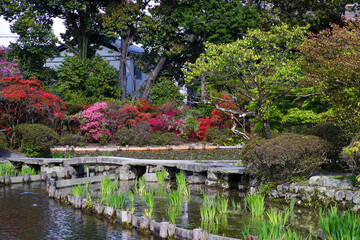 Fototapeta na wymiar 梅宮大社の春の庭園風景