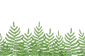 Obraz premium Seamless border fern watercolor. Hand drawn green fern illustration isolated on white background. Endless frame for invitation and greeting cards. wedding design. Foliage background.