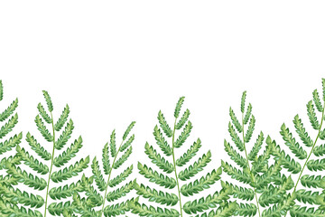 Seamless border fern watercolor. Hand drawn green fern illustration isolated on white background. Endless frame for invitation and greeting cards. wedding design. Foliage background.