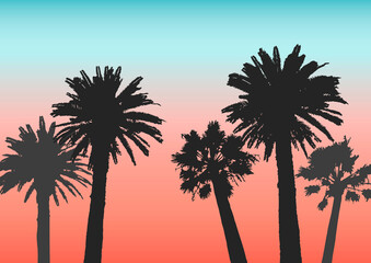 Fototapeta na wymiar Palm trees silhouettes on sunset sky background for summer design
