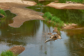 Die Neiße bei Zelz an der Deutsch-Polnischen Grenze	