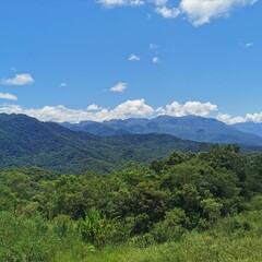 Obraz premium landscape with sky