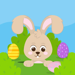 funny rabbit and easter eggs