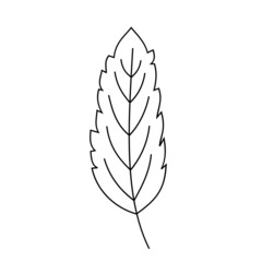 Leaves Line Art