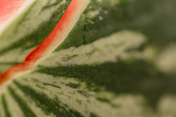 Green watermelon with stripes, close-up.