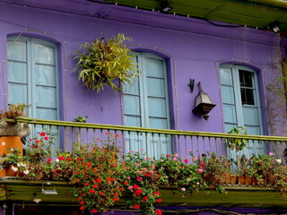 Fototapeta na wymiar bepflanzter Balkon