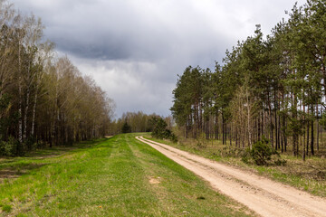 Fototapeta na wymiar Wiosna w Dolinie Biebrzy, Podlasie, Polska
