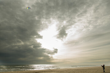 Cerf Volant sur une plage de Camargue - obrazy, fototapety, plakaty