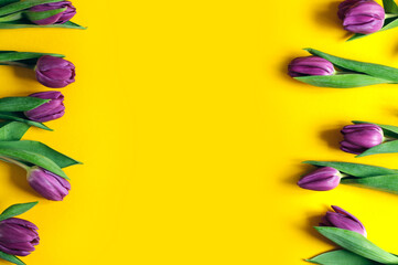 Tulips on a yellow background, top view with copy space. Daylight. The concept of holidays, easter, March 8, mother's day, Valentine's day