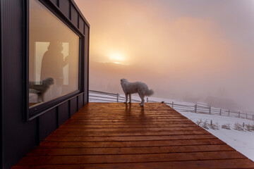 Tiny house with terrace in the mountains during winter on sunrise. Woman looks out from the window,...