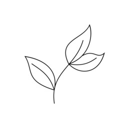 illustration of a leaf line art icon