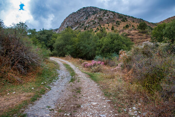 road to the mountains