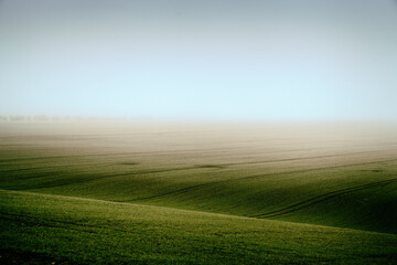 Obraz premium a foggy morning