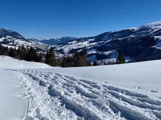 Fototapeta premium Wonderful winter hiking trails and traces on the slopes of the Alpstein mountain range and in the fresh alpine snow cover of the Swiss Alps - Alt St. Johann, Switzerland (Schweiz)