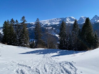 Fototapeta na wymiar Wonderful winter hiking trails and traces on the slopes of the Alpstein mountain range and in the fresh alpine snow cover of the Swiss Alps - Alt St. Johann, Switzerland (Schweiz)